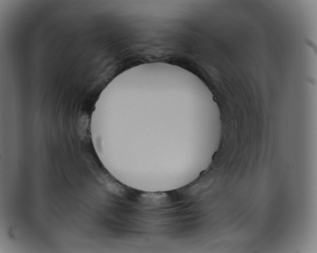 X0000098120480200804251456