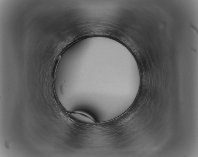 X0000098120481200804251455
