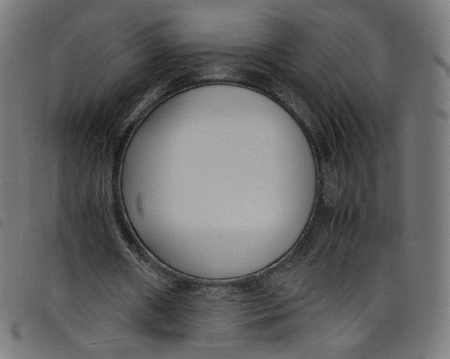 X0000098120482200804251455