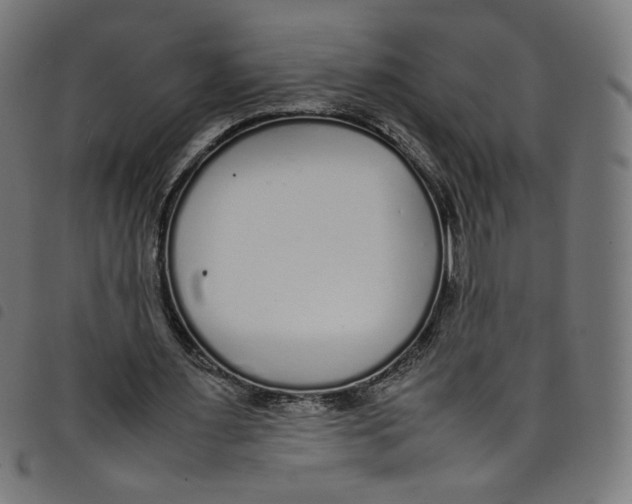 X0000098120483200804251455