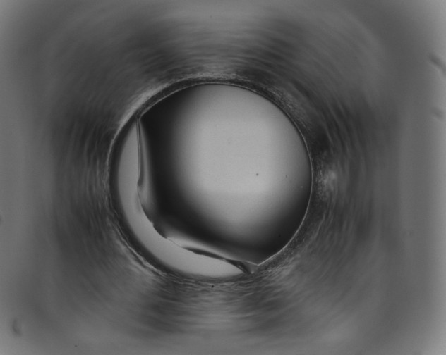 X0000098120484200804251455