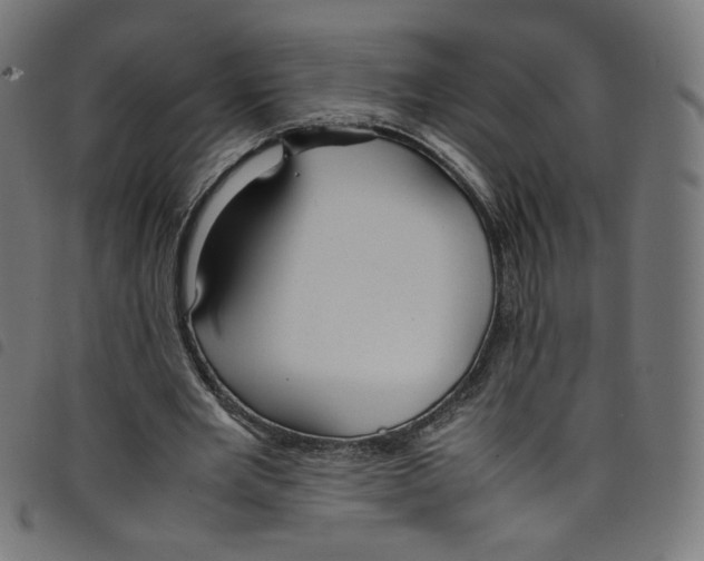 X0000098120485200804251455