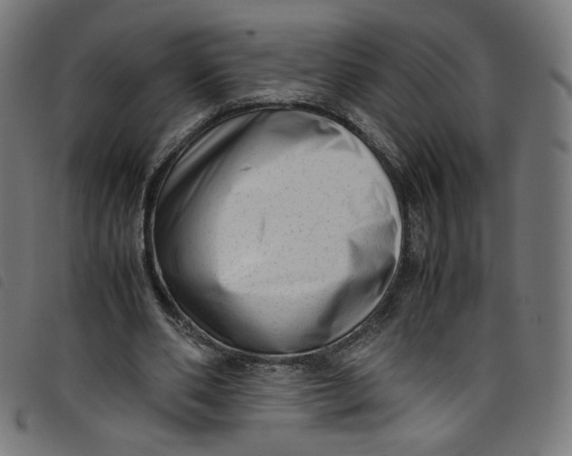 X0000098120486200804251455