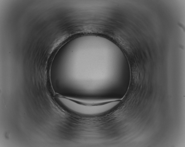 X0000098120488200804251455