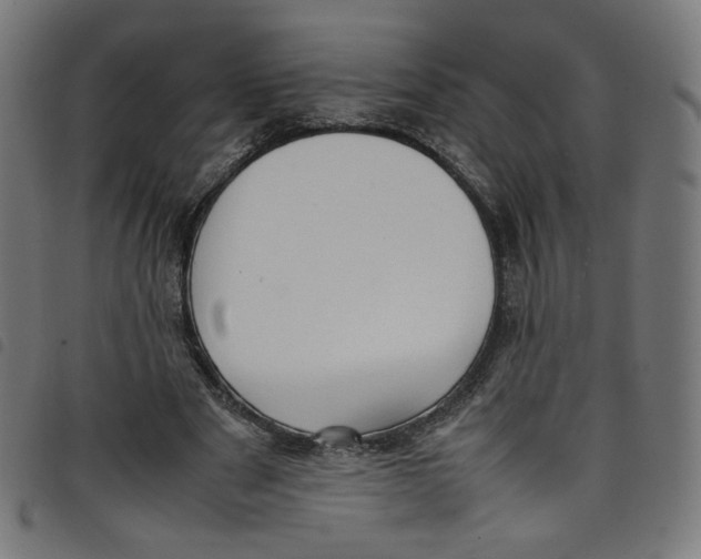 X0000098120489200804251455