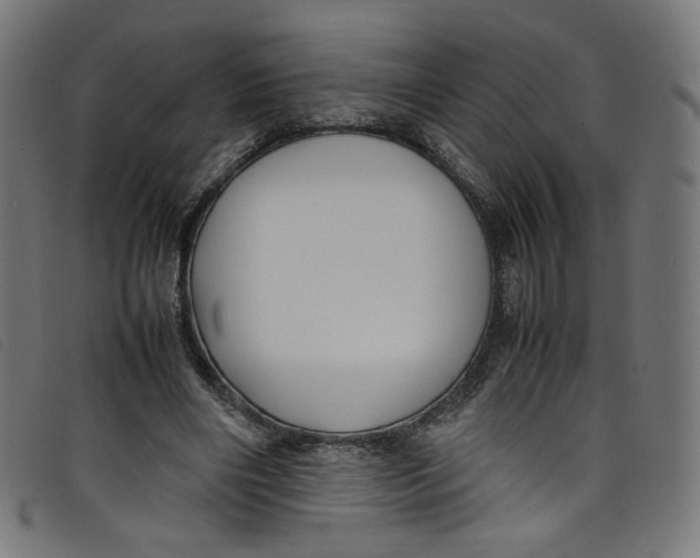 X0000098120490200804251455