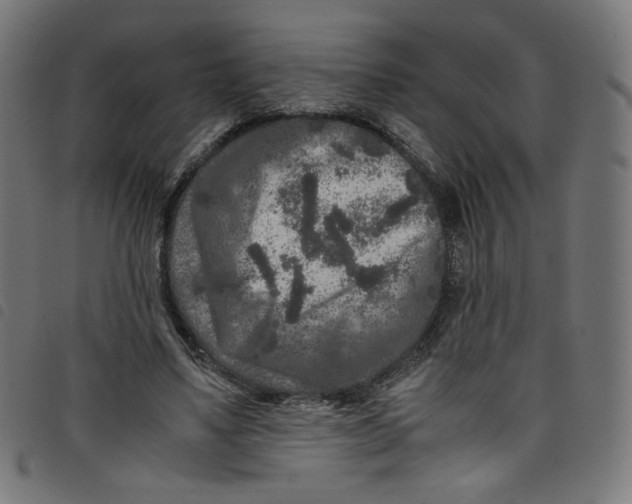 X0000098120491200804251455