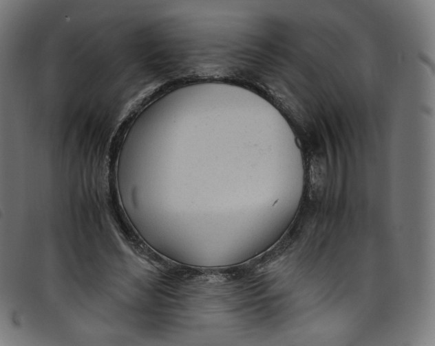 X0000098120492200804251455
