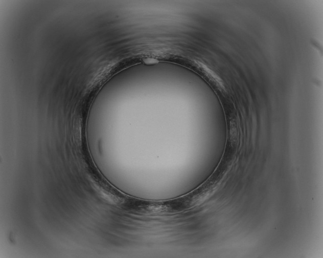 X0000098120493200804251455