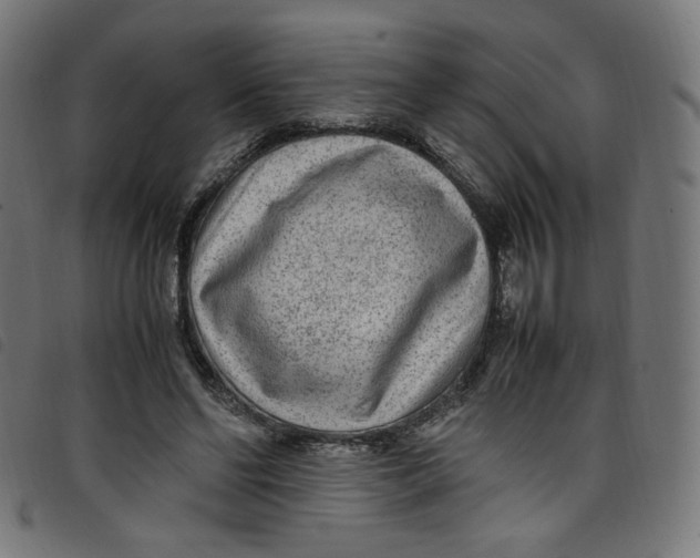 X0000098120494200804251455