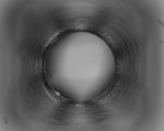X0000098120496200804251455