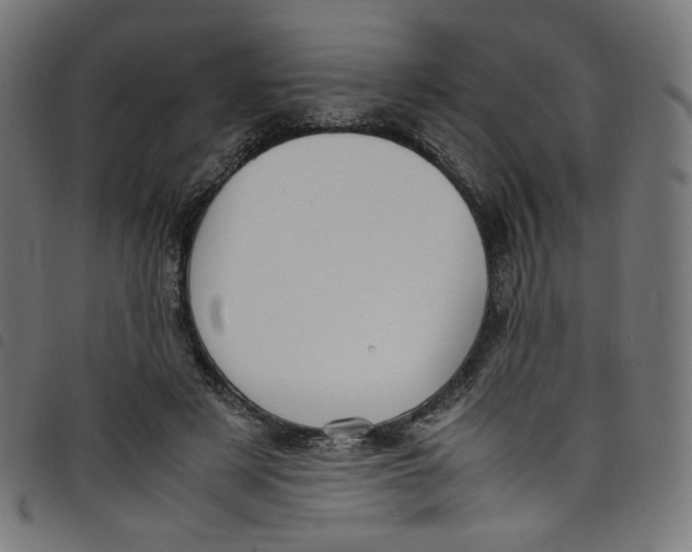 X0000098120497200804251455