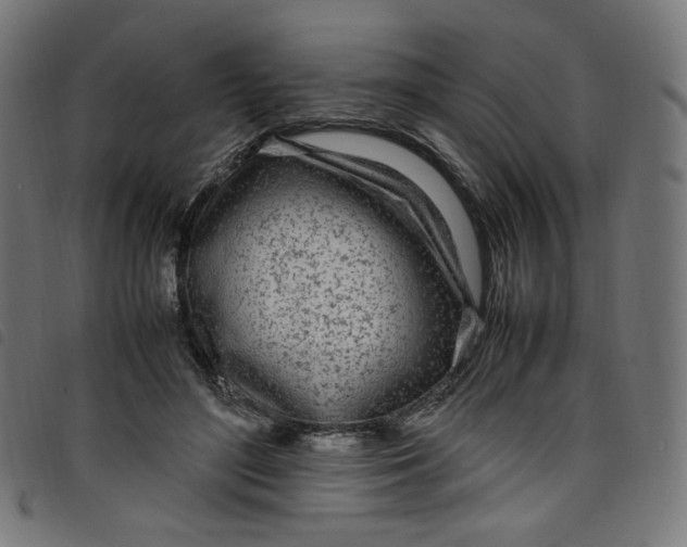 X0000098120500200804251455