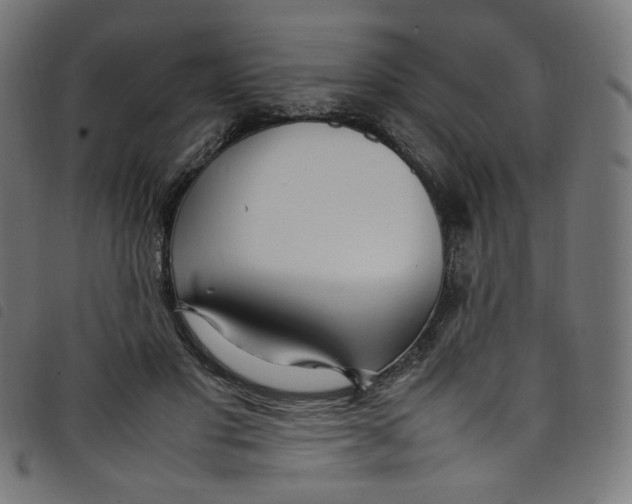 X0000098120501200804251455