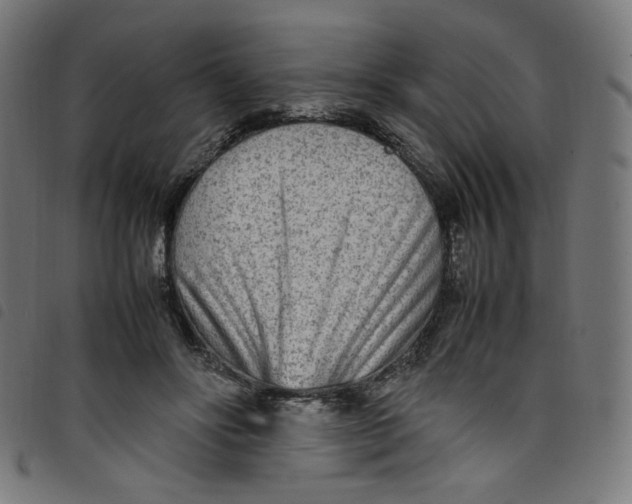 X0000098120502200804251455