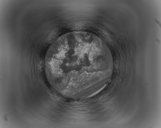 X0000098120503200804251455