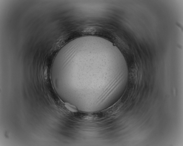X0000098120504200804251455