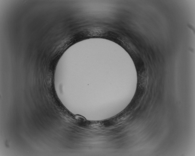 X0000098120505200804251455