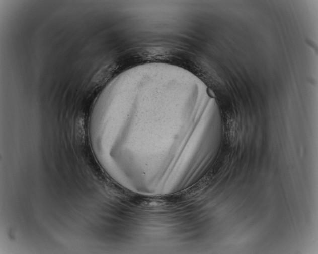 X0000098120506200804251455