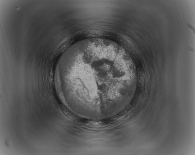X0000098120507200804251455