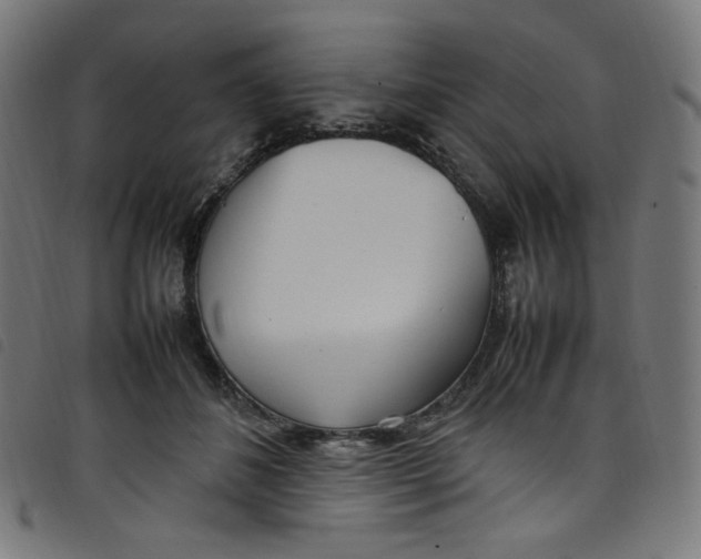 X0000098120508200804251455