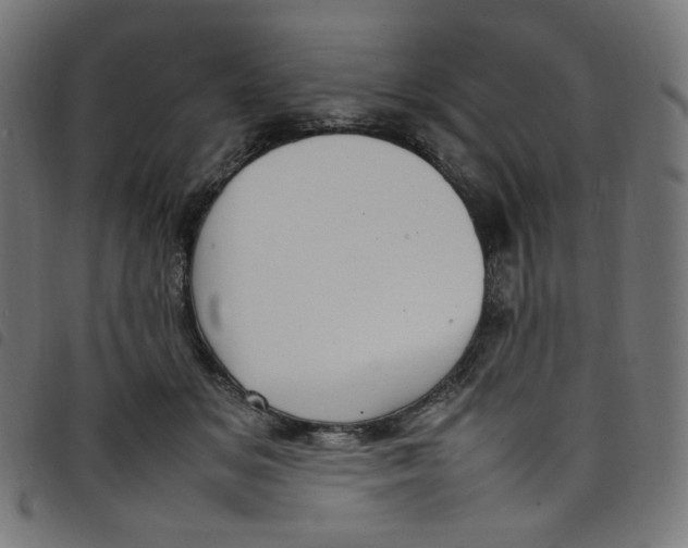X0000098120509200804251455