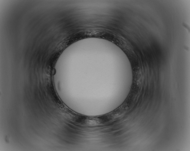 X0000098120510200804251455