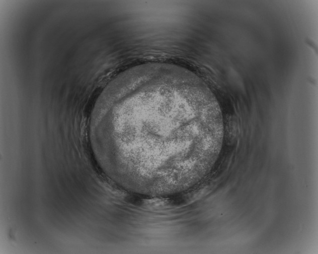 X0000098120511200804251455