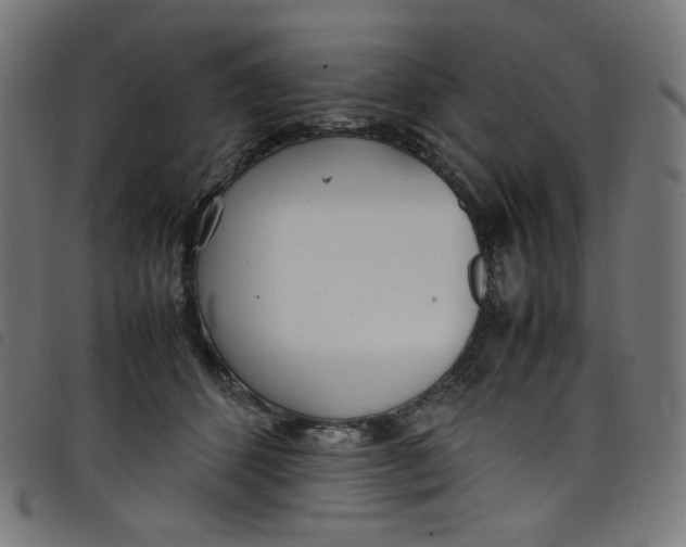 X0000098120512200804251455