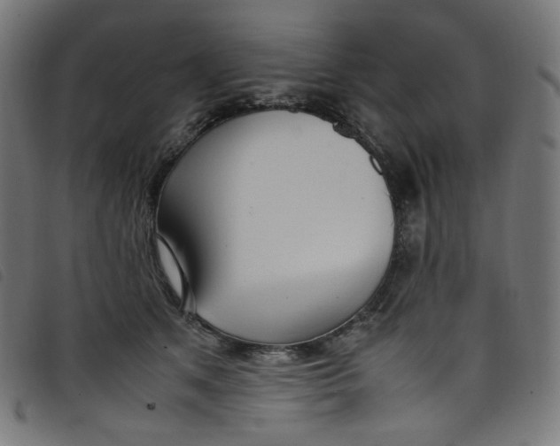 X0000098120513200804251455
