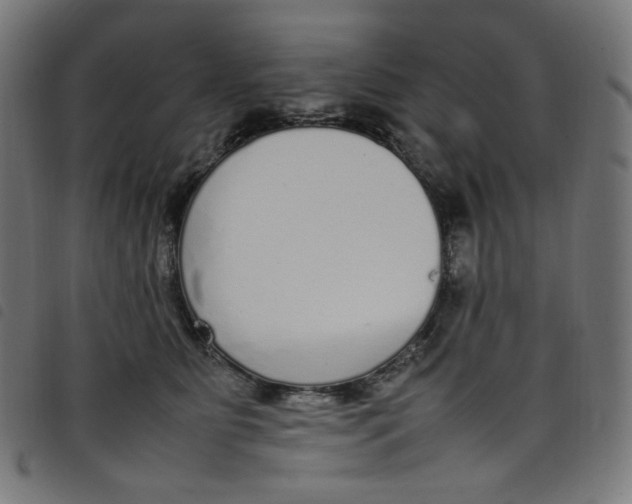 X0000098120515200804251455