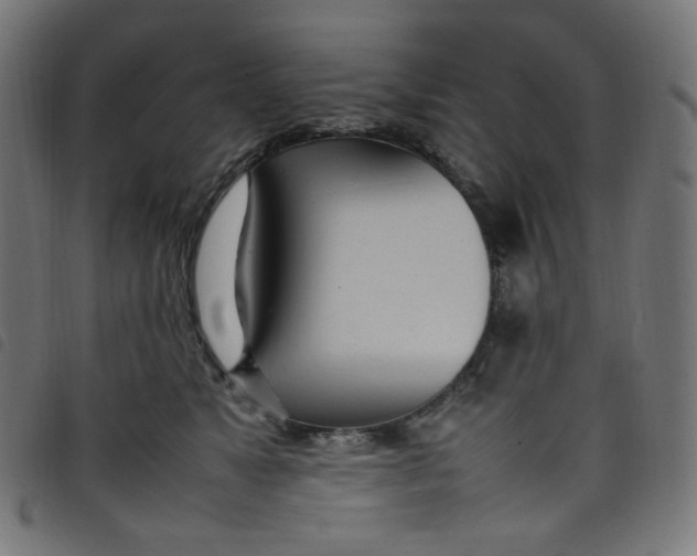 X0000098120517200804251455