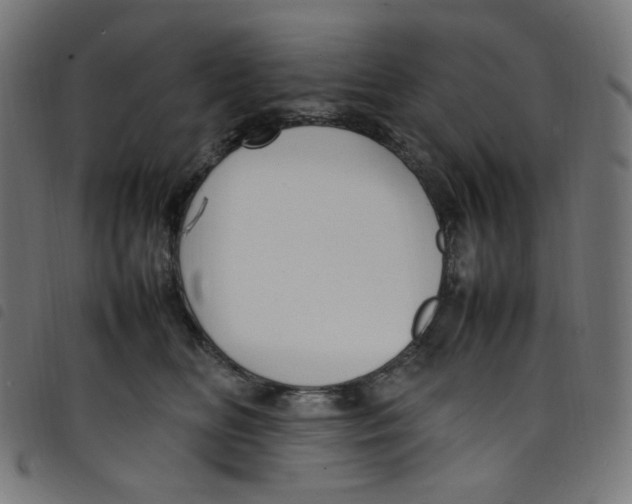 X0000098120518200804251455