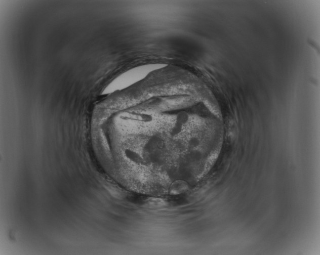 X0000098120519200804251455