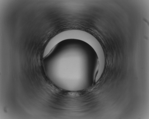 X0000098120520200804251455