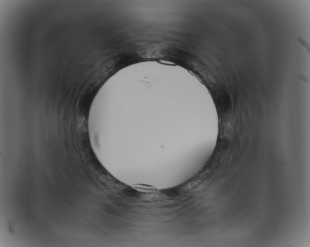 X0000098120521200804251454