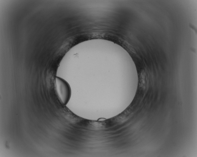 X0000098120522200804251454