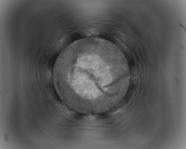 X0000098120523200804251454