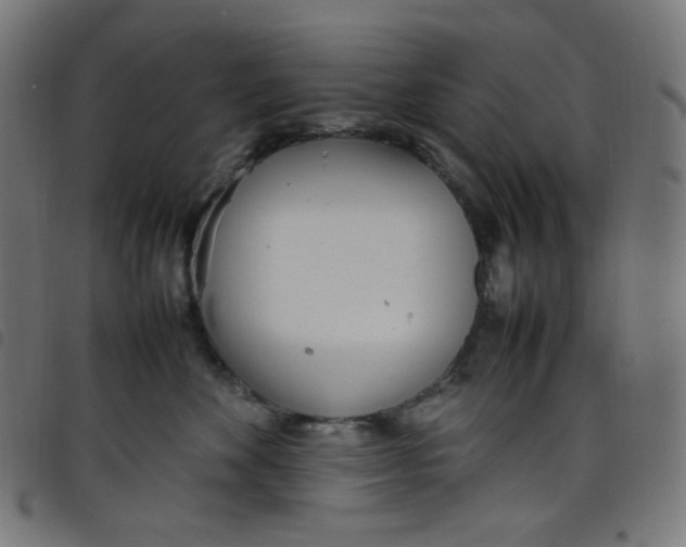 X0000098120524200804251454