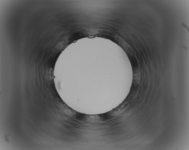 X0000098120525200804251454