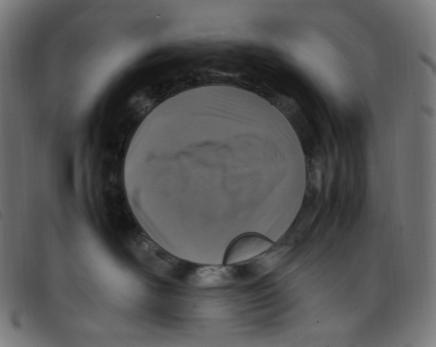 X0000098120526200804251454