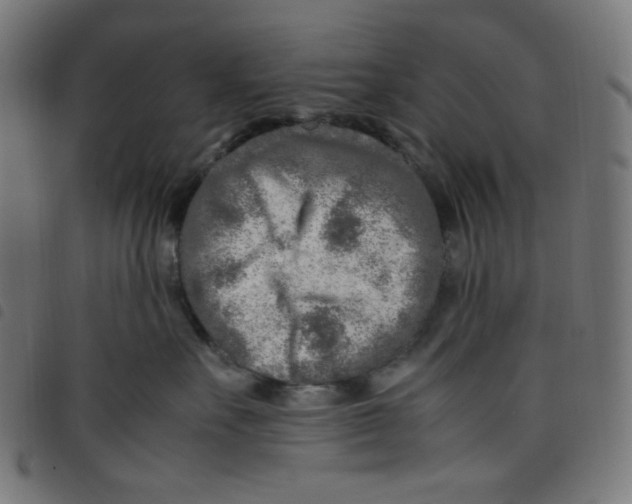 X0000098120527200804251454