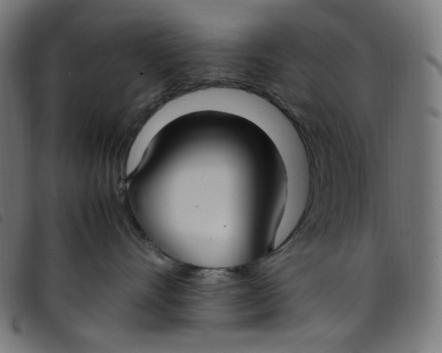 X0000098120528200804251454