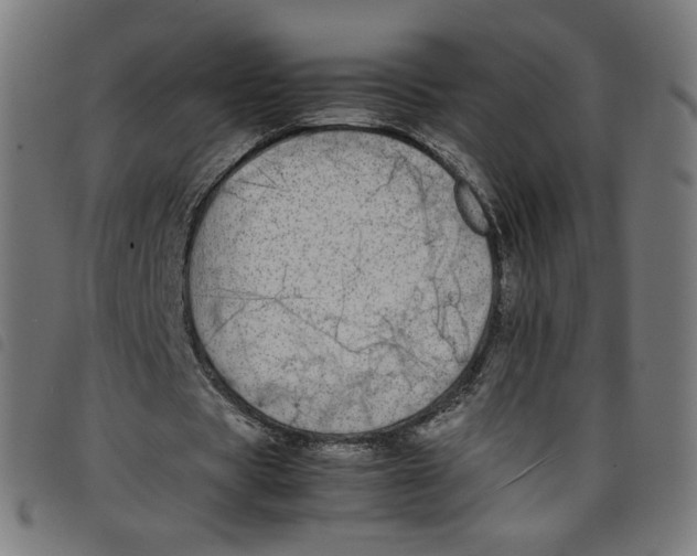 X0000098120529200804251454