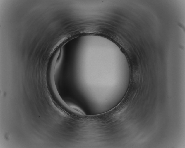 X0000098120530200804251454