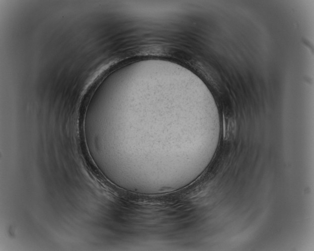 X0000098120531200804251454