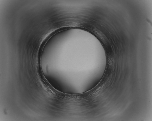 X0000098120532200804251454