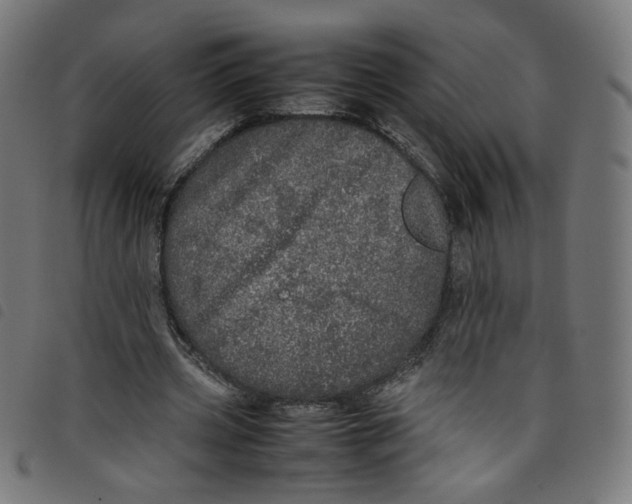 X0000098120533200804251454