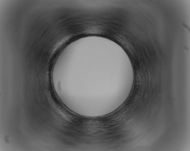 X0000098120535200804251454