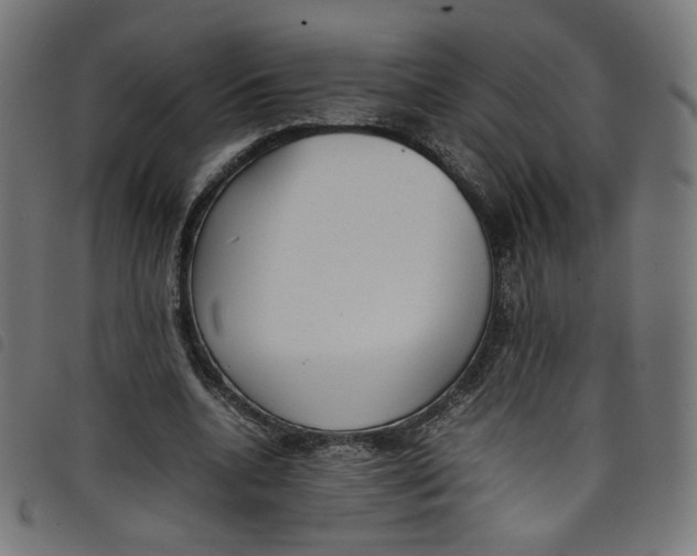 X0000098120536200804251454